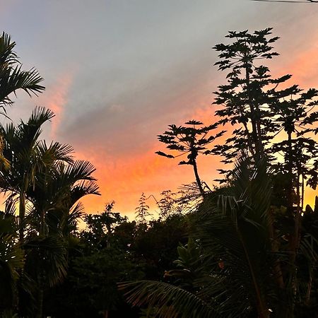 Hawaiian Ohana Home Hilo Eksteriør bilde