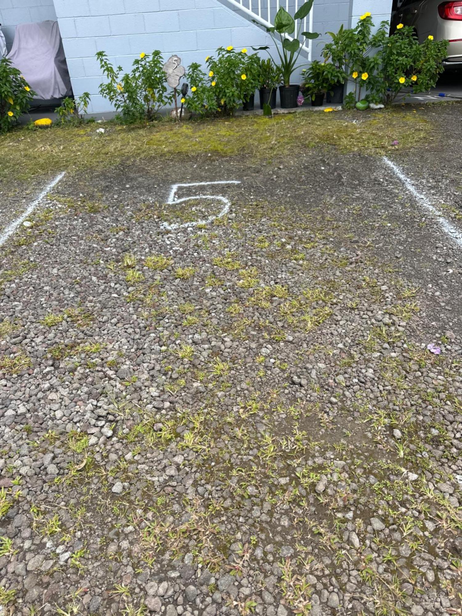 Hawaiian Ohana Home Hilo Eksteriør bilde