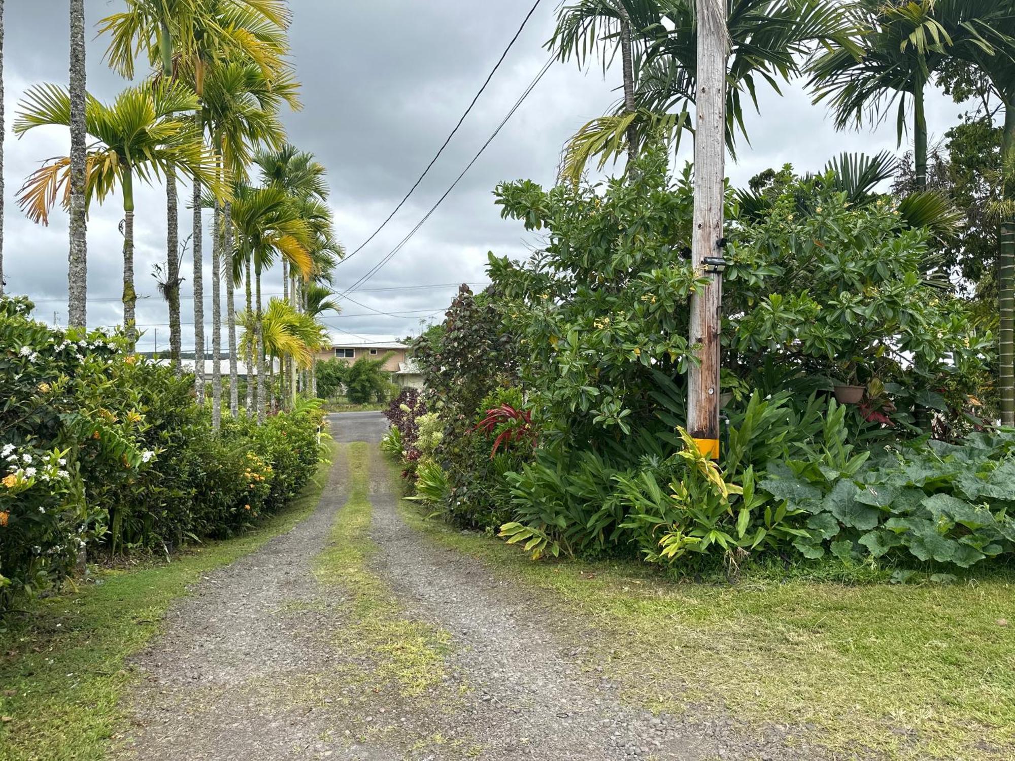 Hawaiian Ohana Home Hilo Eksteriør bilde