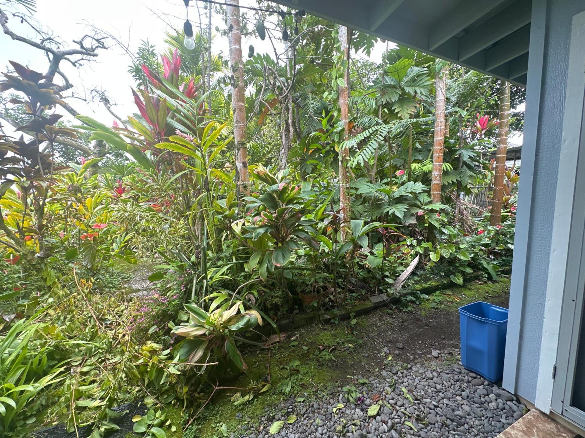 Hawaiian Ohana Home Hilo Eksteriør bilde