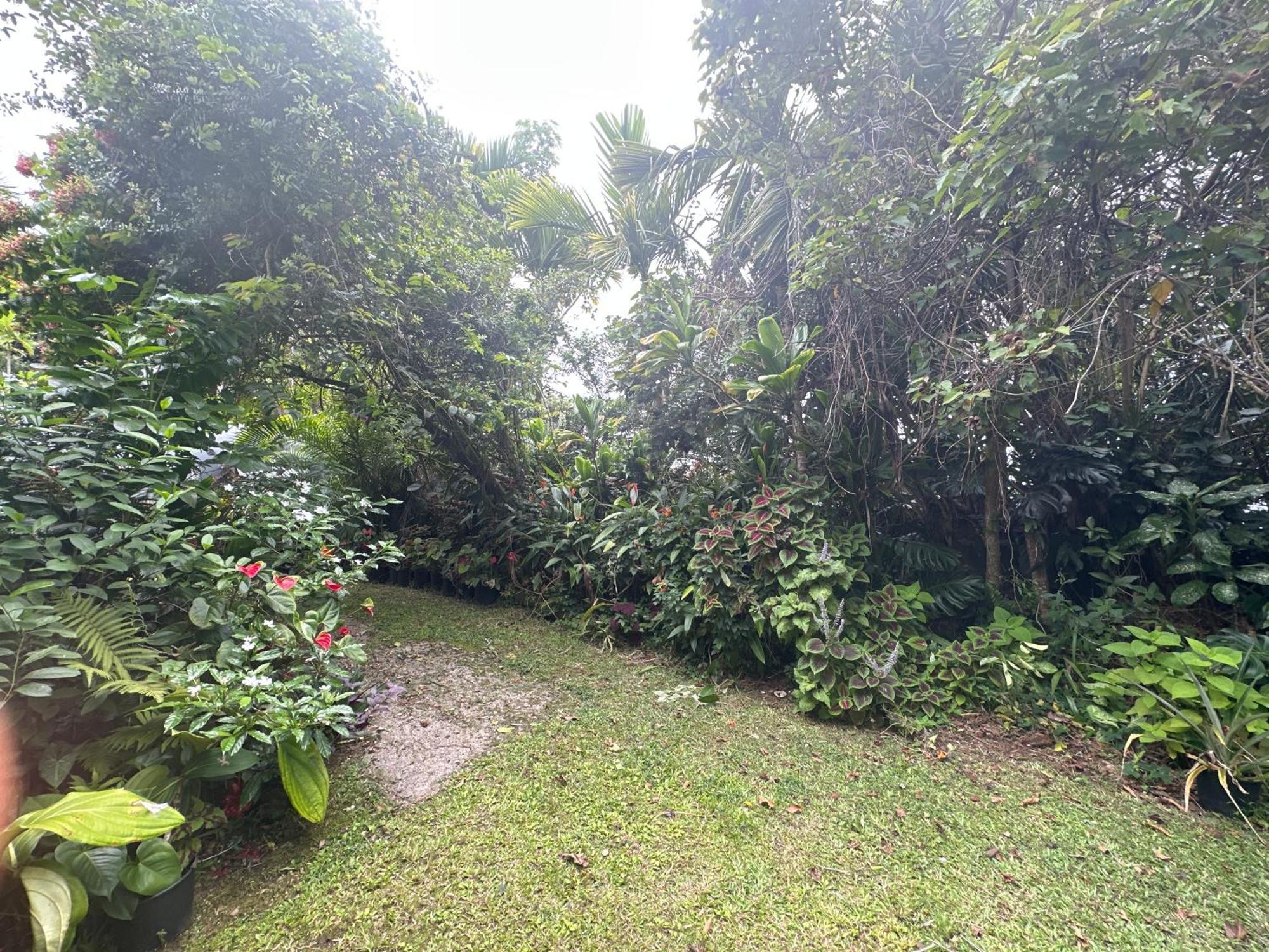 Hawaiian Ohana Home Hilo Eksteriør bilde