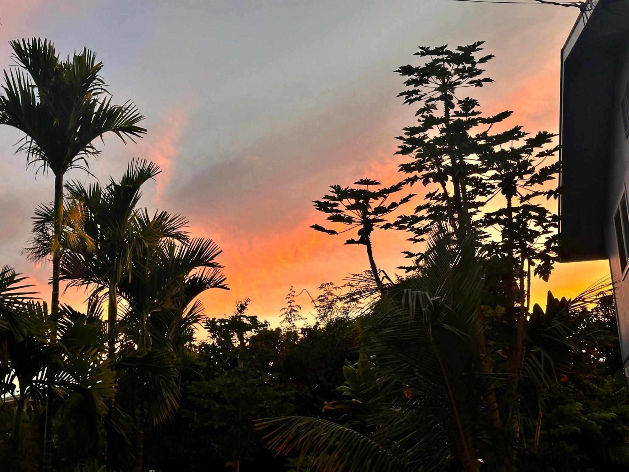 Hawaiian Ohana Home Hilo Eksteriør bilde